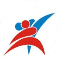 IV Юношеский Международный Фестиваль спортивной борьбы 2004 год