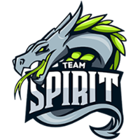 Team Spirit