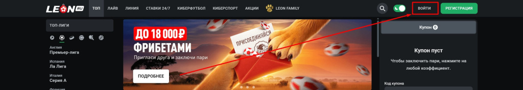 Войти на сайт ЛЕОН с компьютера