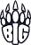 BIG