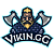 ViKin.gg