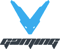 V Gaming 